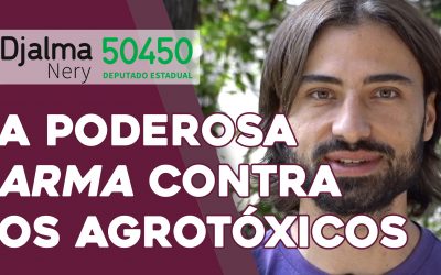 Agroecologia e Permacultura: a poderosa arma contra os agrotóxicos