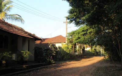 Uma tragédia anunciada em Rio Claro (SP): reintegração de posse promete desabrigar famílias que residem a décadas no Horto Florestal